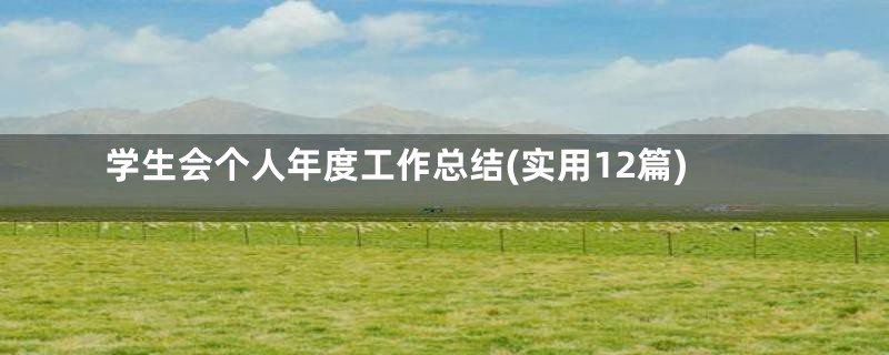 学生会个人年度工作总结(实用12篇)