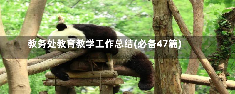 教务处教育教学工作总结(必备47篇)