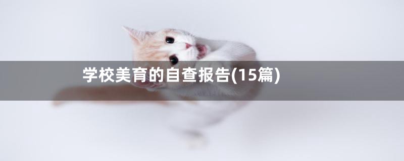 学校美育的自查报告(15篇)