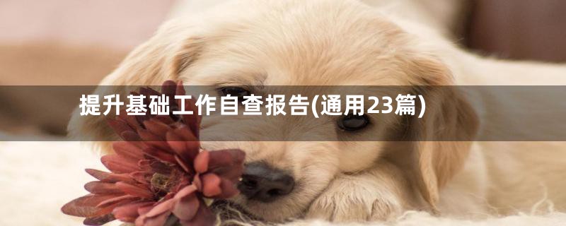 提升基础工作自查报告(通用23篇)