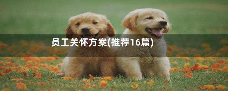 员工关怀方案(推荐16篇)
