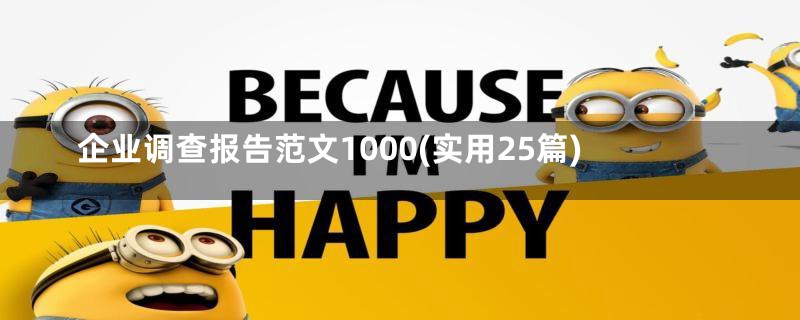 企业调查报告范文1000(实用25篇)