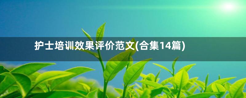 护士培训效果评价范文(合集14篇)