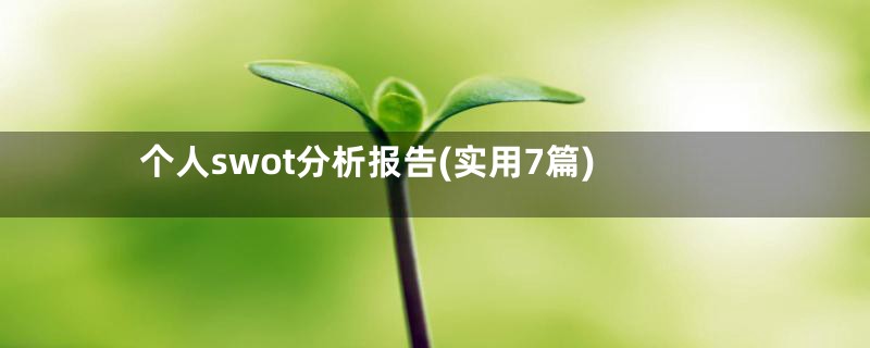 个人swot分析报告(实用7篇)