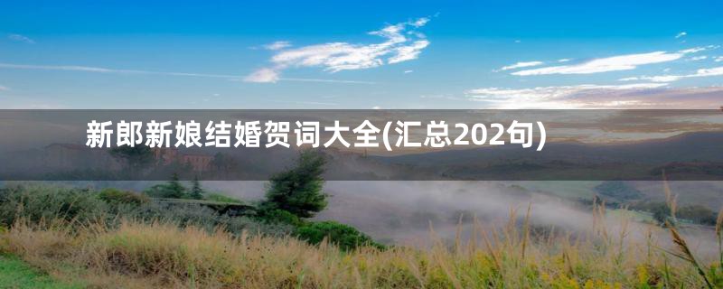 新郎新娘结婚贺词大全(汇总202句)