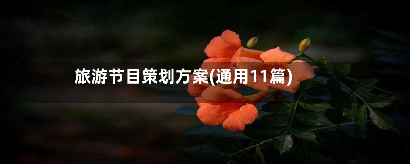 旅游节目策划方案(通用11篇)
