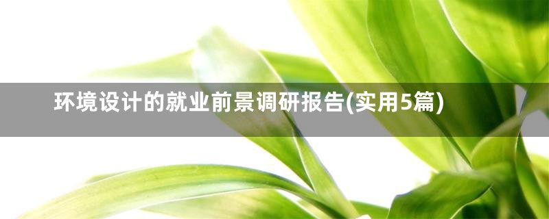 环境设计的就业前景调研报告(实用5篇)