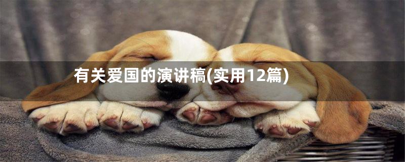 有关爱国的演讲稿(实用12篇)