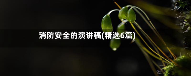 消防安全的演讲稿(精选6篇)