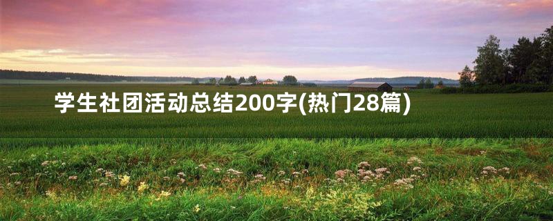 学生社团活动总结200字(热门28篇)