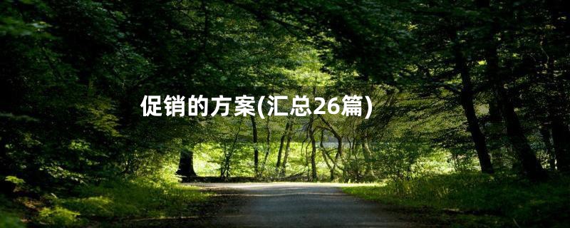 促销的方案(汇总26篇)