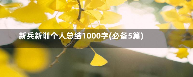 新兵新训个人总结1000字(必备5篇)