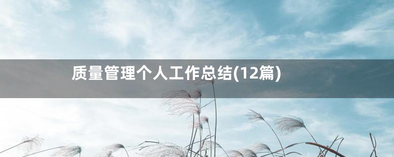 质量管理个人工作总结(12篇)