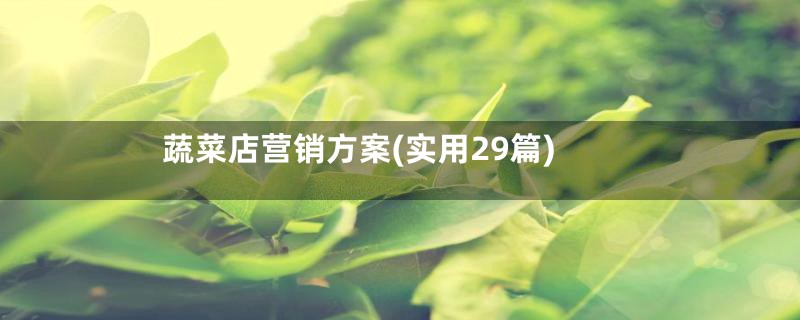 蔬菜店营销方案(实用29篇)