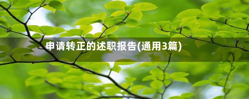 申请转正的述职报告(通用3篇)