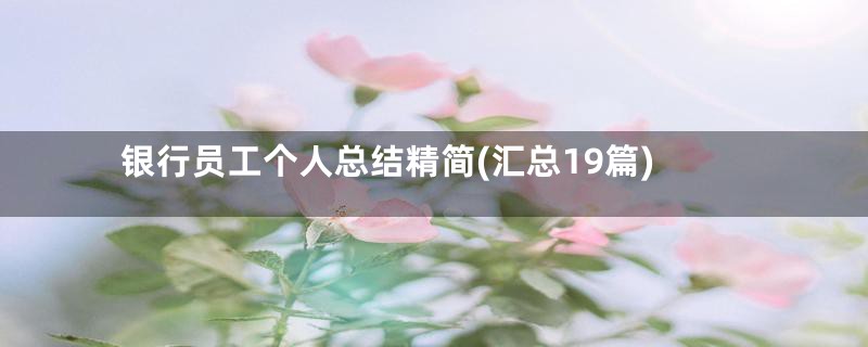 银行员工个人总结精简(汇总19篇)