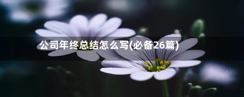 公司年终总结怎么写(必备26篇)