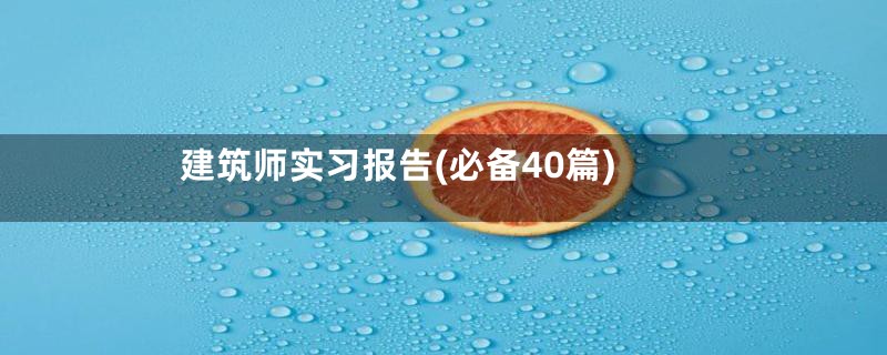 建筑师实习报告(必备40篇)