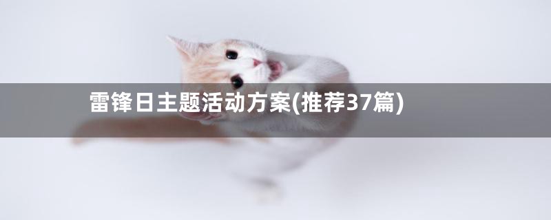 雷锋日主题活动方案(推荐37篇)