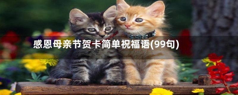 感恩母亲节贺卡简单祝福语(99句)