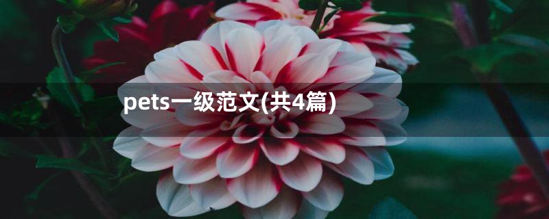 pets一级范文(共4篇)