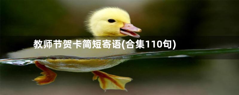 教师节贺卡简短寄语(合集110句)