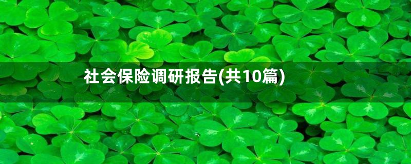 社会保险调研报告(共10篇)