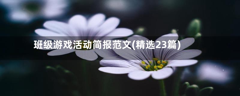 班级游戏活动简报范文(精选23篇)