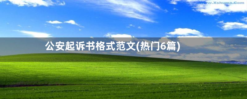 公安起诉书格式范文(热门6篇)