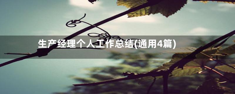 生产经理个人工作总结(通用4篇)