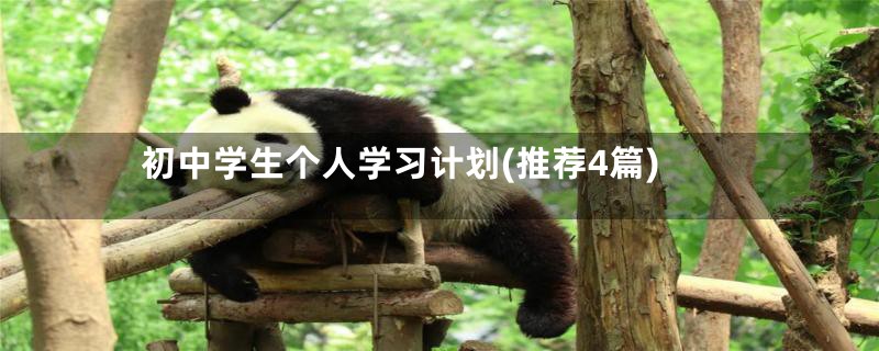 初中学生个人学习计划(推荐4篇)