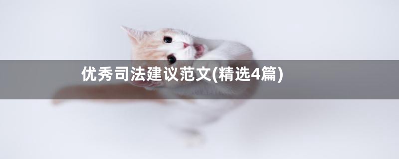 优秀司法建议范文(精选4篇)