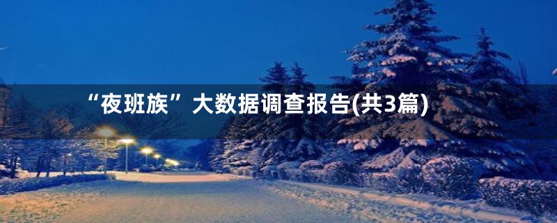 “夜班族”大数据调查报告(共3篇)