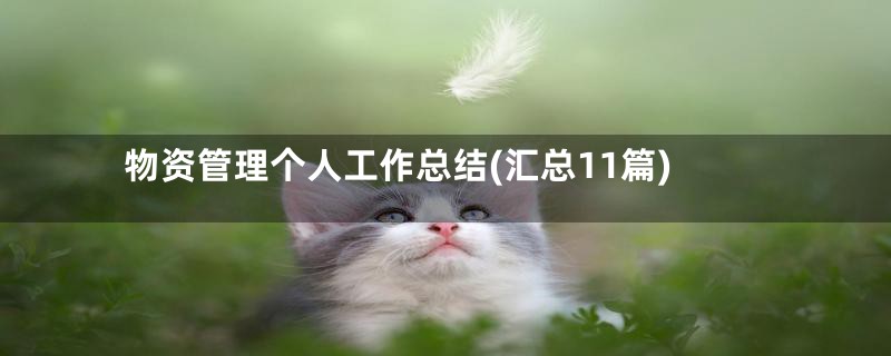 物资管理个人工作总结(汇总11篇)