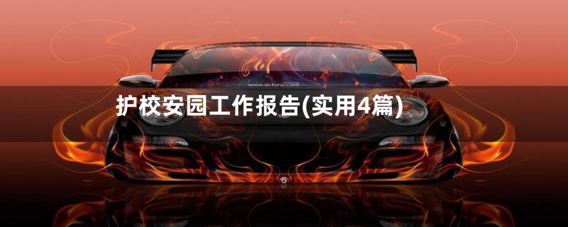 护校安园工作报告(实用4篇)