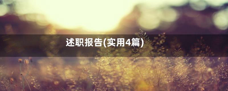 述职报告(实用4篇)