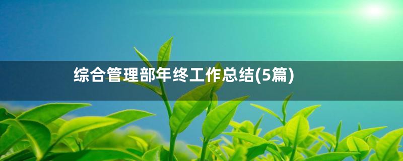 综合管理部年终工作总结(5篇)