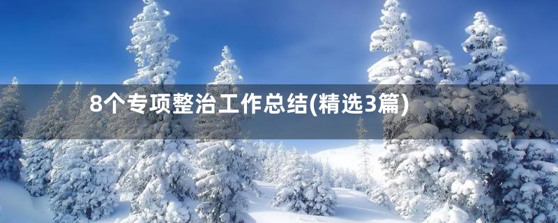 8个专项整治工作总结(精选3篇)