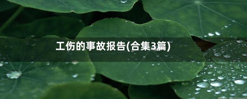 工伤的事故报告(合集3篇)