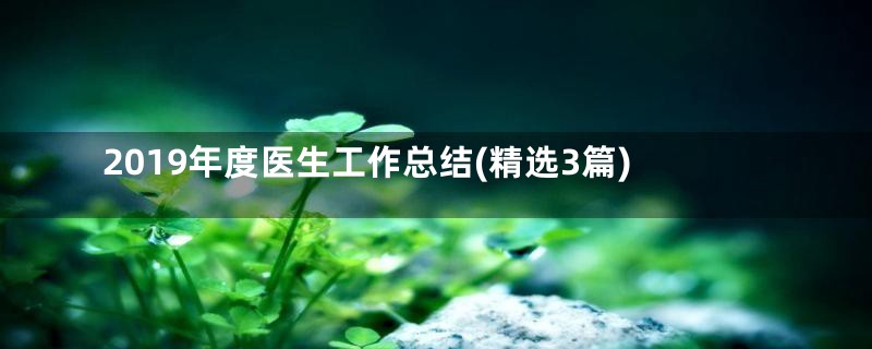 2019年度医生工作总结(精选3篇)