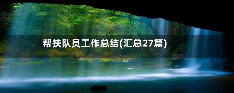 帮扶队员工作总结(汇总27篇)