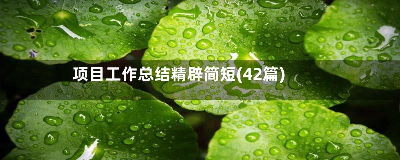 项目工作总结精辟简短(42篇)