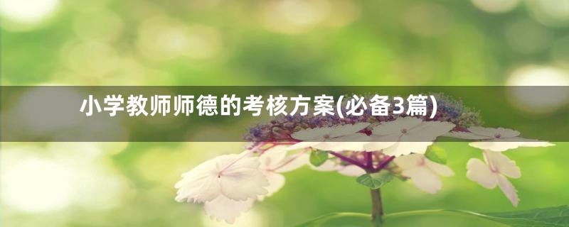 小学教师师德的考核方案(必备3篇)