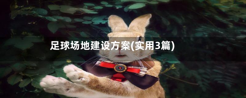 足球场地建设方案(实用3篇)