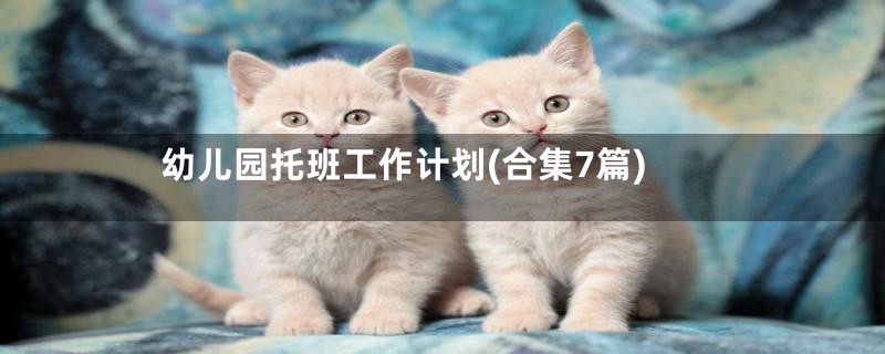 幼儿园托班工作计划(合集7篇)