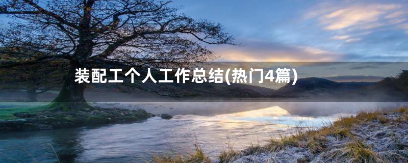 装配工个人工作总结(热门4篇)
