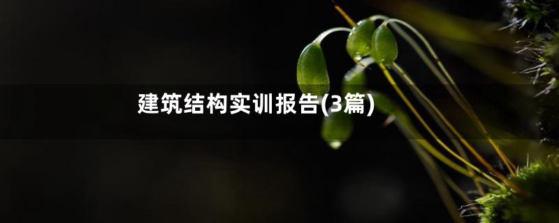 建筑结构实训报告(3篇)