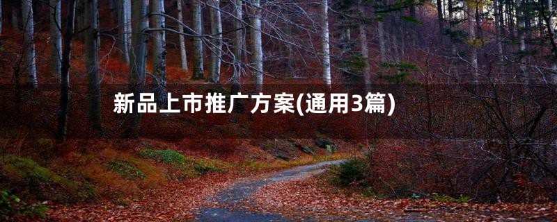 新品上市推广方案(通用3篇)