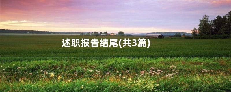 述职报告结尾(共3篇)