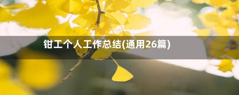 钳工个人工作总结(通用26篇)